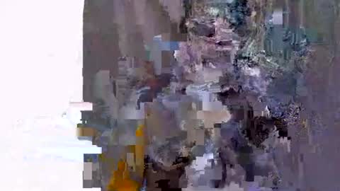 ebonyfire99 online show from 11/19/25, 06:13