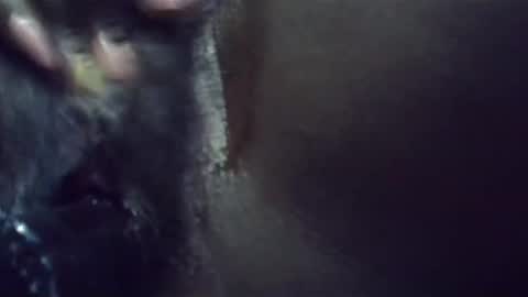 Snapshot of ebonykiki chatting on 01/23/25, 11:36 ebonykiki online show from 01/23/25, 11:36