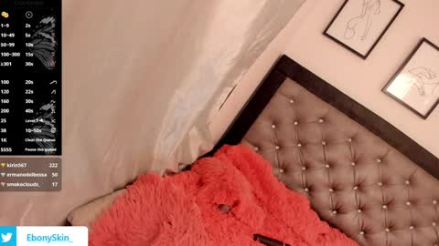 ebonyskinn online show from 12/20/24, 10:00