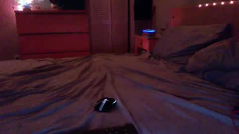 Snapshot of edgymaster chatting on 12/17/25, 02:17 Steven online show from 12/17/25, 02:17