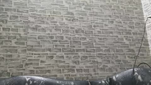 edithmanning online show from 01/15/25, 03:33