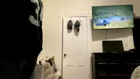 edvmendez1766 online show from 10/27/25, 05:33