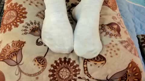 Eilin online show from 07/29/26, 07:12