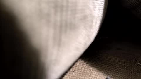 el_taringuero online show from 06/07/26, 02:59