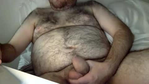 elabear online show from 06/03/26, 04:48