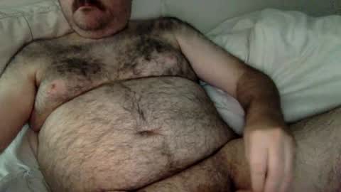 elabear online show from 06/22/26, 05:26