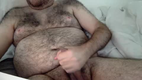 elabear online show from 08/02/26, 04:16