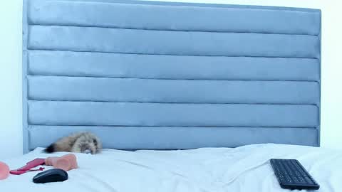 Snapshot of elaisaprincess chatting on 02/05/25, 01:04 elaisaprincess online show from 02/05/25, 01:04