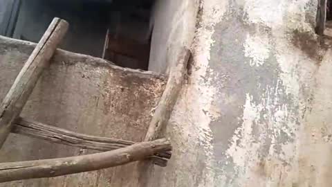 Snapshot of eldie69 chatting on 11/29/25, 10:51 eldie69 online show from 11/29/25, 10:51