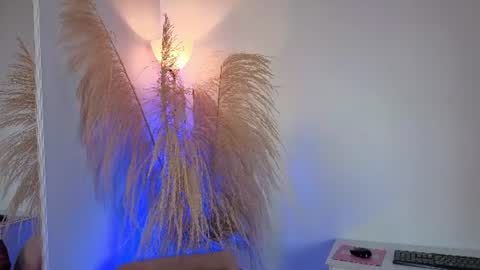Elecktra online show from 06/24/26, 07:24