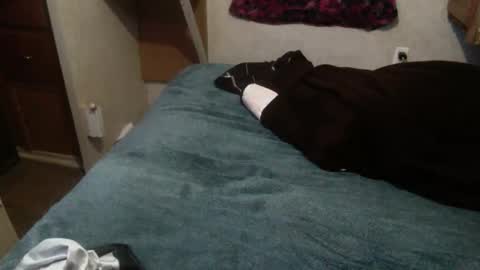 Snapshot of elegantdeviance69 chatting on 12/19/24, 01:18 ElegantDeviance69 online show from 12/19/24, 01:18