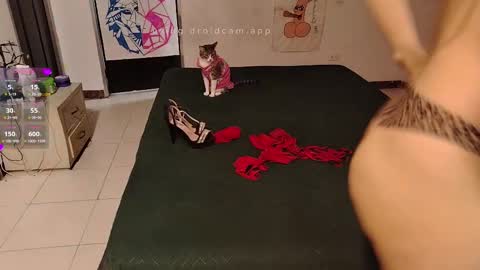 Elektra and Konan online show from 09/20/25, 12:06