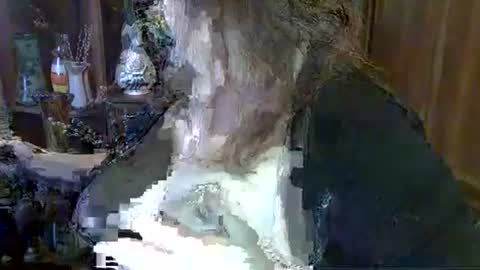 Snapshot of elenazed chatting on 10/06/25, 09:40 ElenaZed online show from 10/06/25, 09:40