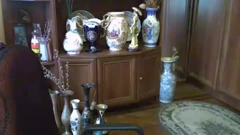 Snapshot of elenazed chatting on 10/13/25, 11:43 ElenaZed online show from 10/13/25, 11:43