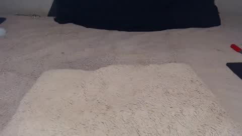 Snapshot of elgsslt chatting on 11/23/25, 12:16 elgsslt online show from 11/23/25, 12:16