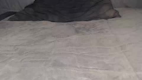 Snapshot of elgsslt chatting on 05/08/26, 09:14 elgsslt online show from 05/08/26, 09:14