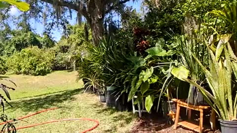 eliberator online show from 05/16/26, 07:23