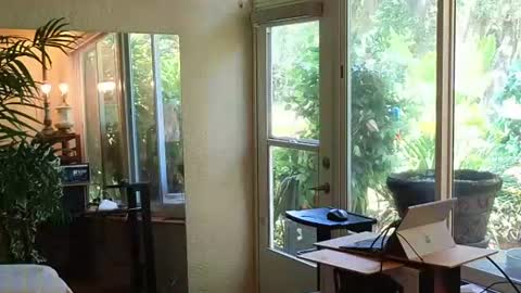 eliberator online show from 06/13/26, 03:32