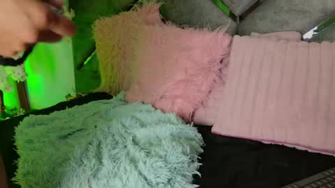 elit noa online show from 07/19/26, 10:52