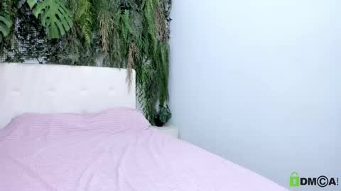 Eliza online show from 11/07/25, 09:48