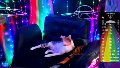 Ellie online show from 06/18/26, 09:14