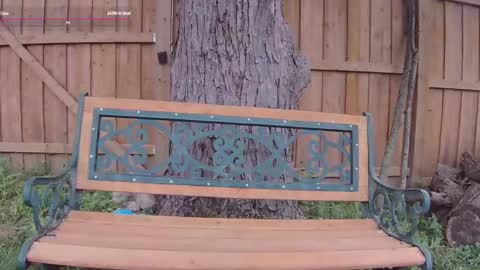 Snapshot of ells_palace chatting on 09/13/25, 05:13 Ella Bella Bo Bella online show from 09/13/25, 05:13