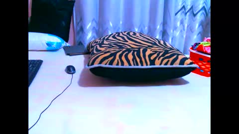 elodielynn online show from 05/19/26, 04:41
