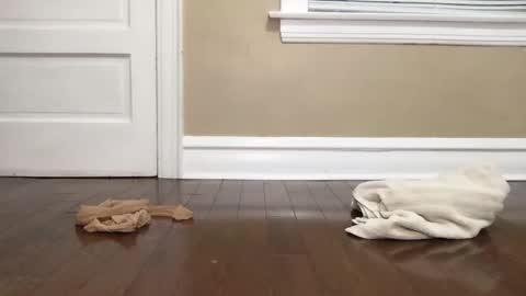 Bi Bro online show from 10/15/25, 04:56