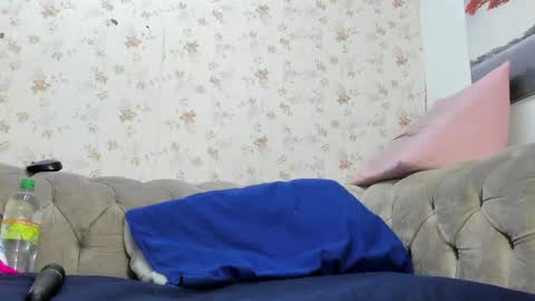 Ely online show from 01/11/25, 07:59