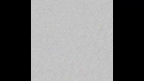 Ely online show from 09/29/25, 11:48