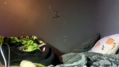 Rockstarbabies4life666 online show from 01/08/25, 12:38