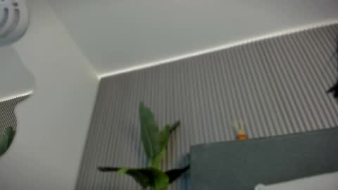 emelie_89 online show from 06/06/26, 11:48