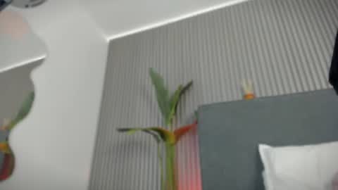 emelie_89 online show from 07/06/26, 11:40