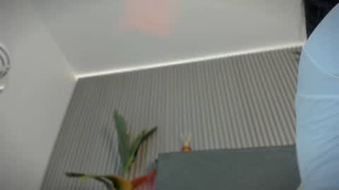 emelie_89 online show from 07/15/26, 11:48