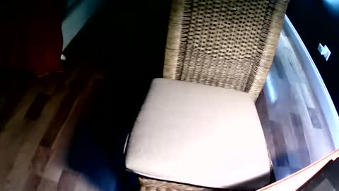 emi4850 online show from 12/08/24, 08:15