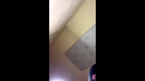 Snapshot of emillycutemurr_ chatting on 10/14/25, 08:20 Emily online show from 10/14/25, 08:20