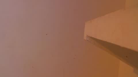 Snapshot of emily308876 chatting on 05/05/26, 12:35 emily308876 online show from 05/05/26, 12:35