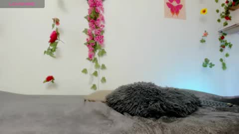 Snapshot of emily_coraline chatting on 02/06/25, 06:35 Emily  online show from 02/06/25, 06:35