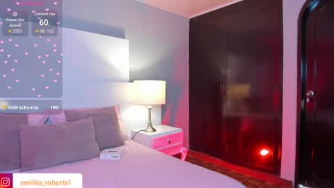 Snapshot of emily_roberts1 chatting on 11/08/25, 05:01 Emily online show from 11/08/25, 05:01