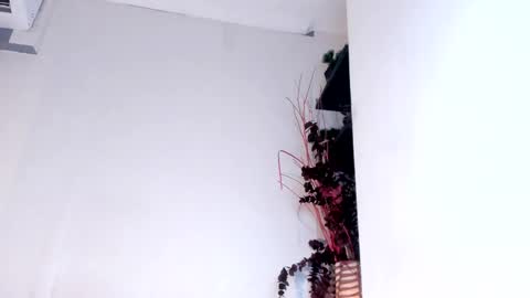 Emily online show from 02/12/25, 08:59