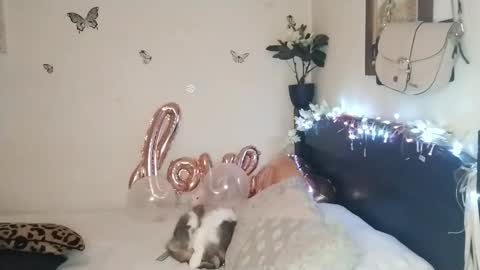 Valentina independent model online show from 11/25/25, 02:33