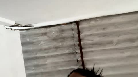 whises lits        online show from 12/11/24, 09:45