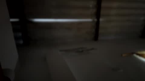 whises lits        online show from 12/16/24, 11:55