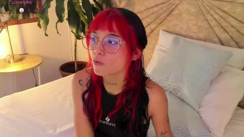           online show from 04/29/26, 07:42