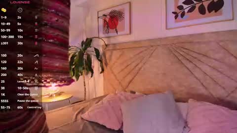           online show from 06/13/26, 11:52