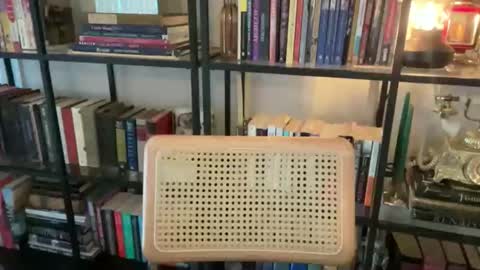 FOLLOW  JOIN MY CULT online show from 10/29/25, 05:04