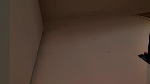 enzo_steel online show from 11/03/25, 07:37