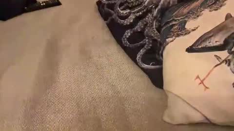 erosforcouples online show from 10/30/25, 11:27