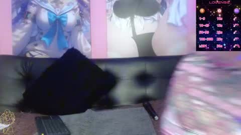 estefania_344 online show from 06/12/26, 03:11