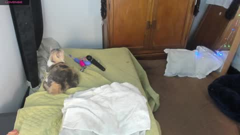 - E S T R E L L A  M I L F - online show from 01/07/25, 04:50